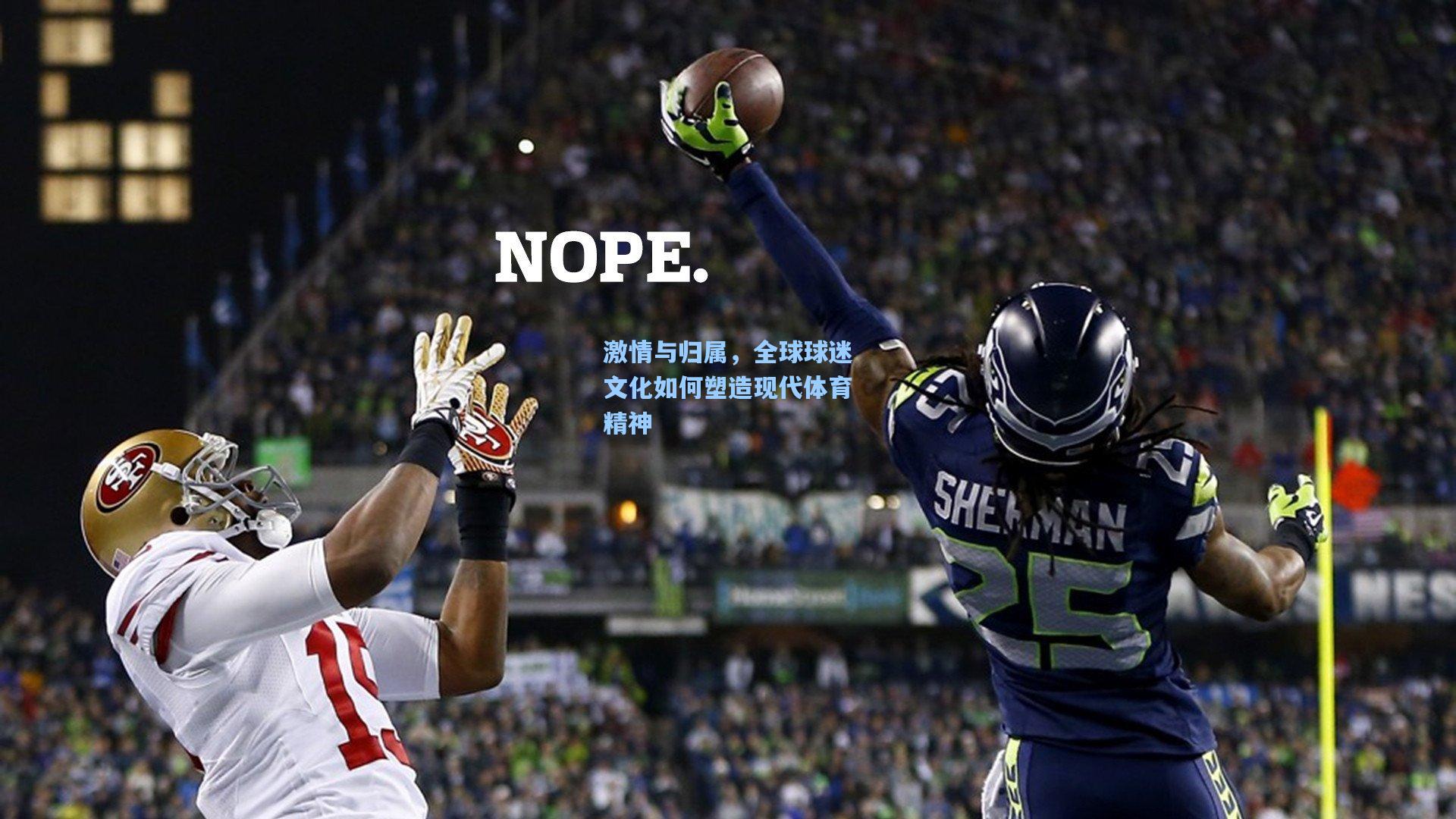 激情与归属,全球球迷文化如何塑造现代体育精神