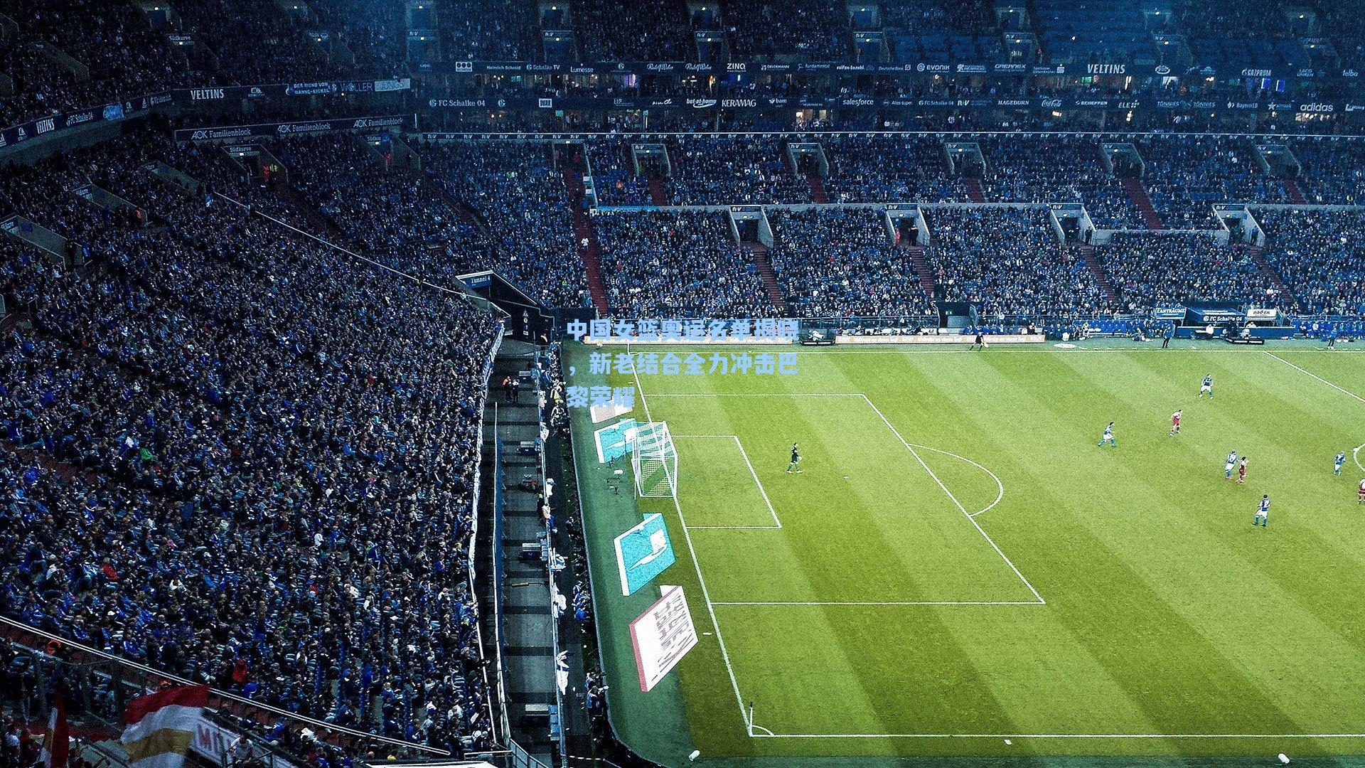 中国女篮奥运名单揭晓,新老结合全力冲击巴黎荣耀